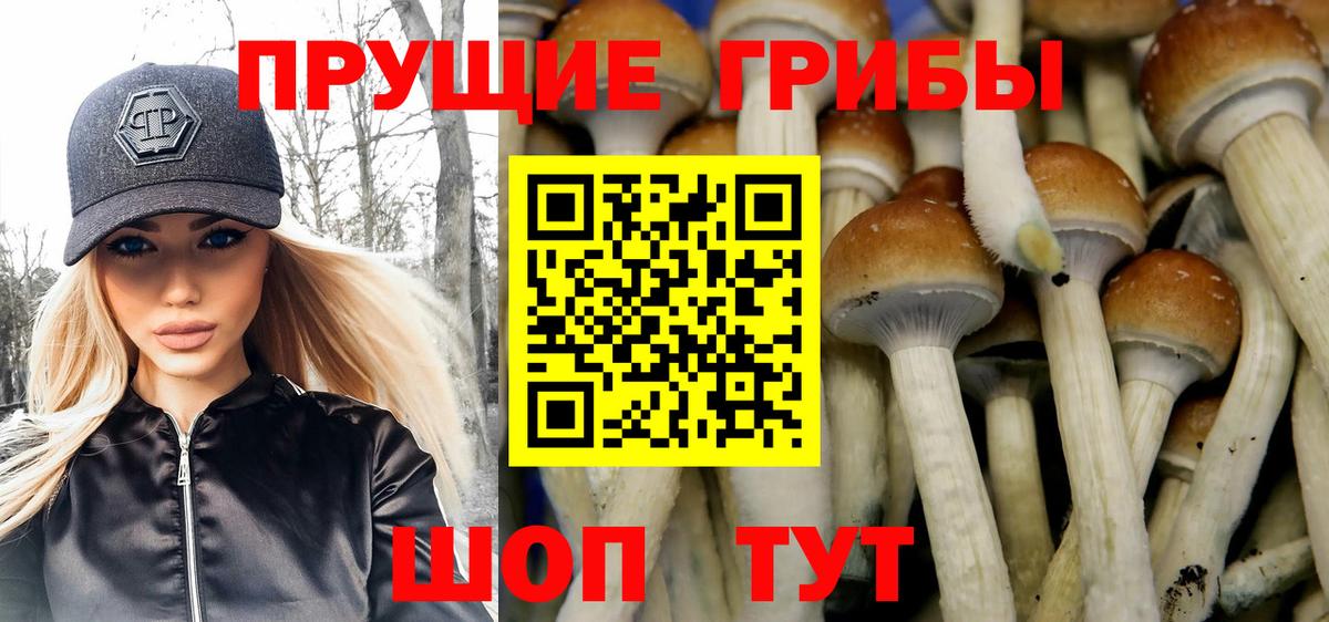 Галлюциногенные грибы Cubensis  Галлюциногенные грибы мицелий  Артём  Вход с VPN 